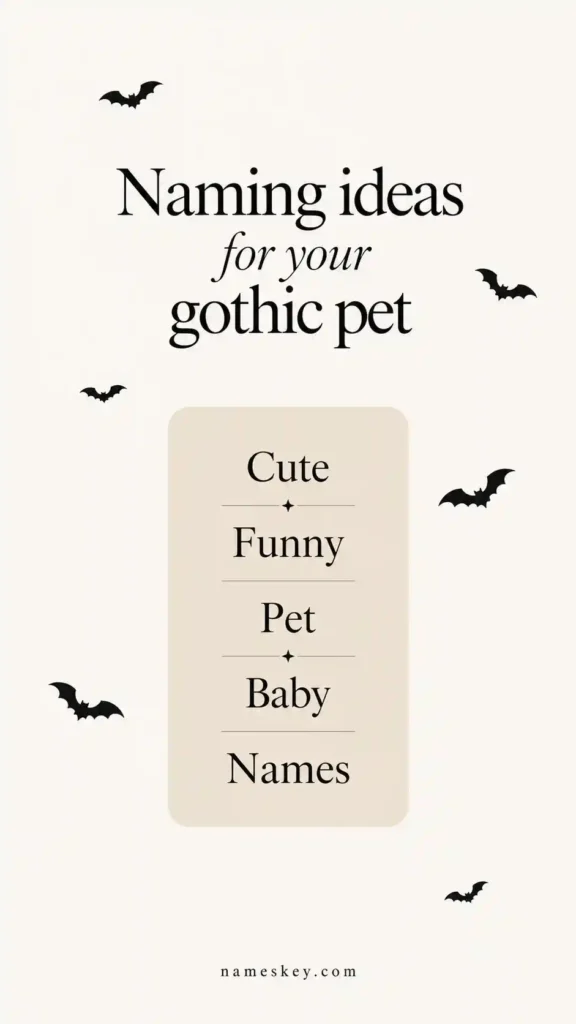 Looking for creative bat names? Discover 700+ unique ideas including cute, cool, spooky, funny, vampire, mythical, Halloween, and personality-inspired bat names all in one place.
